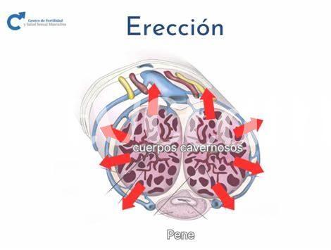 Acupuntura: Beneficios Y Resultados Esperados